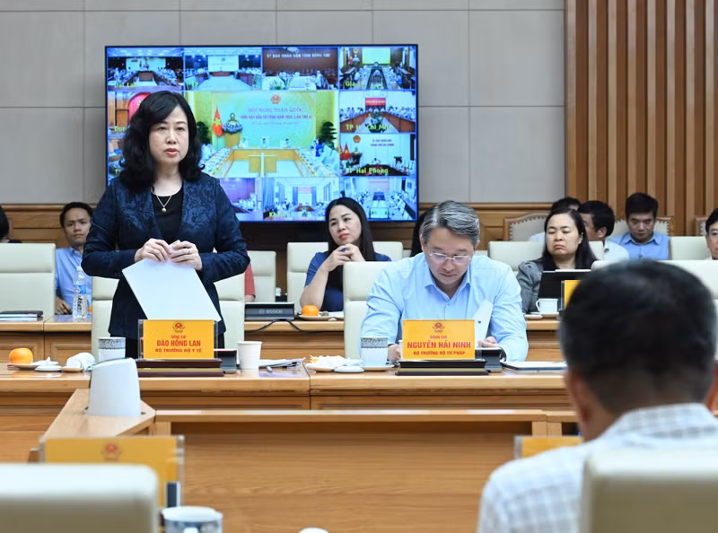 Minister of Health Dao Hong Lan speaks at the meeting