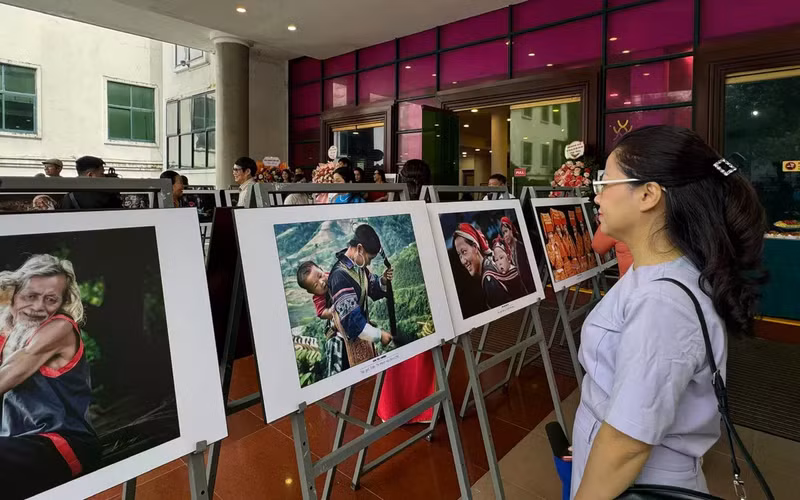 Works on display at the exhibition (Photo: VTV)