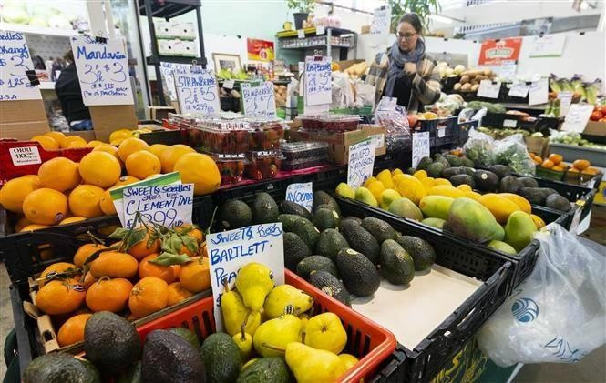 Export hub model opens new pathways for Vietnamese goods in Canada (Photo: VNA)