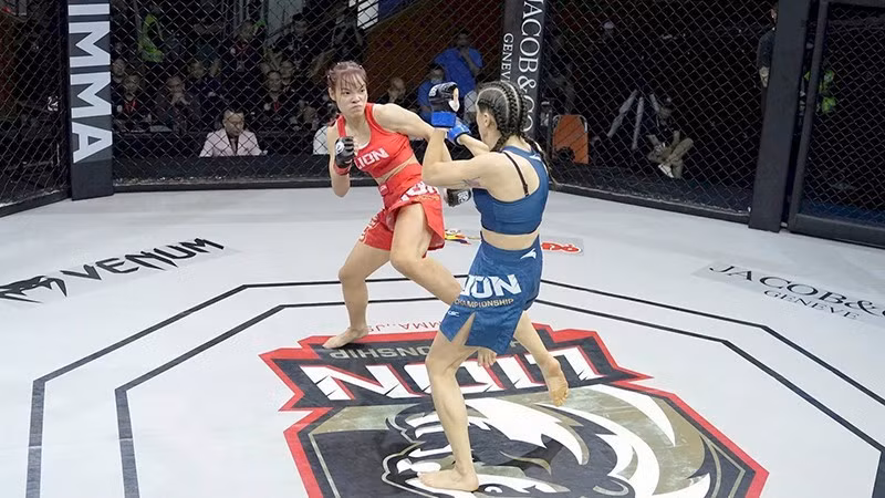 The Lion Championship MMA draws athletes from MMA clubs, transitioning professionals from other martial arts, and standout amateurs.