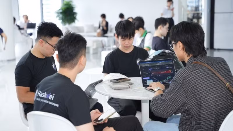 Information-technology sector is one of the most attractive fields in today’s labour market.