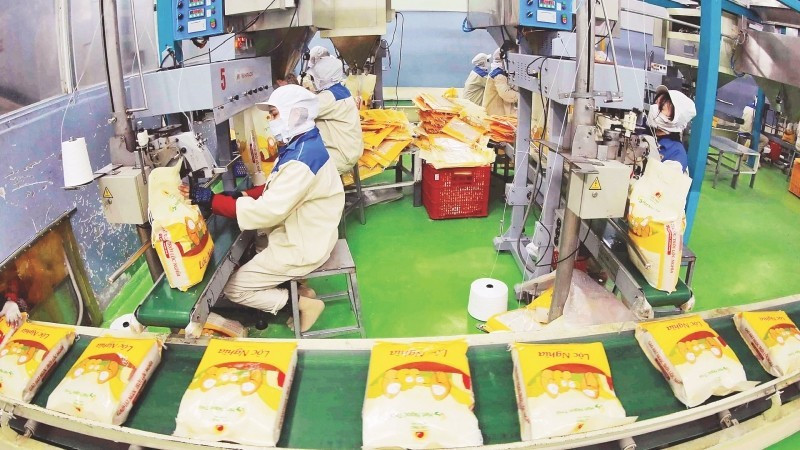 Packing rice for export at Loc Troi Group Joint Stock Company. (Photo: VNA)