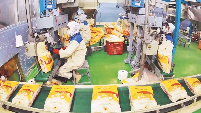 Packing rice for export at Loc Troi Group Joint Stock Company. (Photo: VNA)