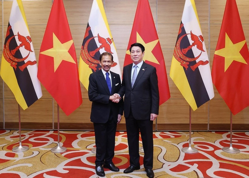 State President Luong Cuong (R) welcomes Sultan of Brunei Haji Hassanal Bolkiah (Photo: VNA)