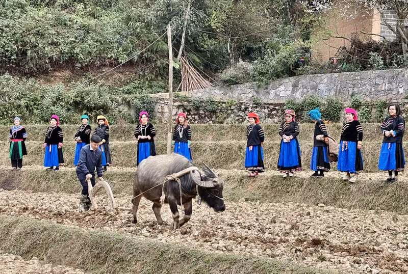 The Pat Oong ceremony aims to seek permission from the ancestors for the community to enter the new planting season, praying for favourable weather and abundant harvests.