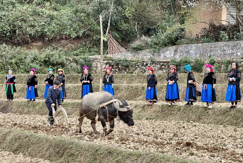 The Pat Oong ceremony aims to seek permission from the ancestors for the community to enter the new planting season, praying for favourable weather and abundant harvests.