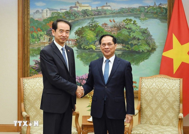 Deputy Prime Minister Bui Thanh Son (right) and Chinese Ambassador to Viet Nam He Wei at their meeting on November 17 (Photo: VNA)