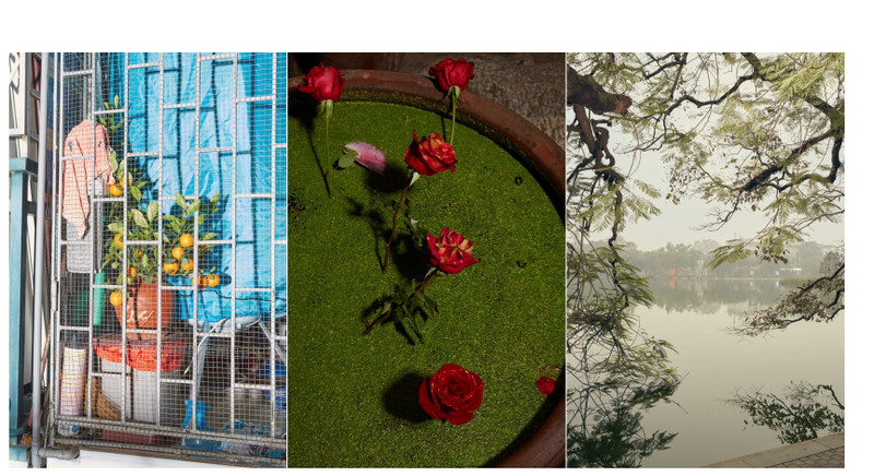 Works on display at the exhibition 