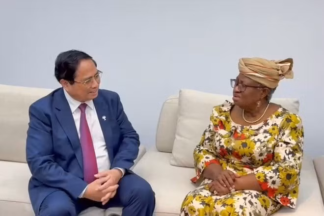 PM Pham Minh Chinh meets with WTO Director-General Ngozi Okonjo-Iweala in Rio de Janeiro on July 6. (Photo: Government Portal)