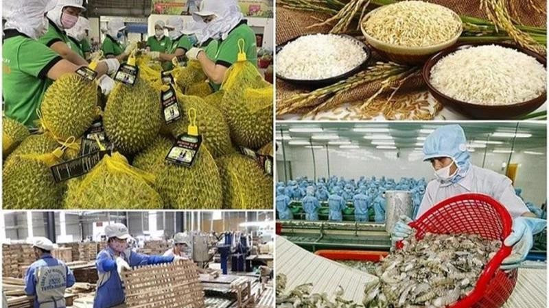 The agricultural sector is targeting a total export turnover of 65 billion USD in 2025.