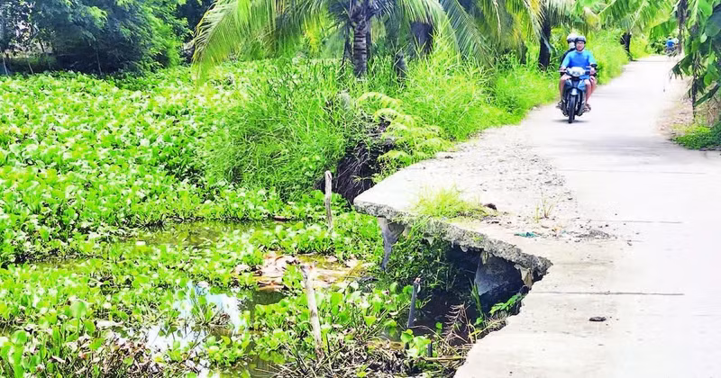 New erosion points along a rural road in Trung Doan Hamlet, An Minh Bac Commune, U Minh Thuong District, Kien Giang Province.