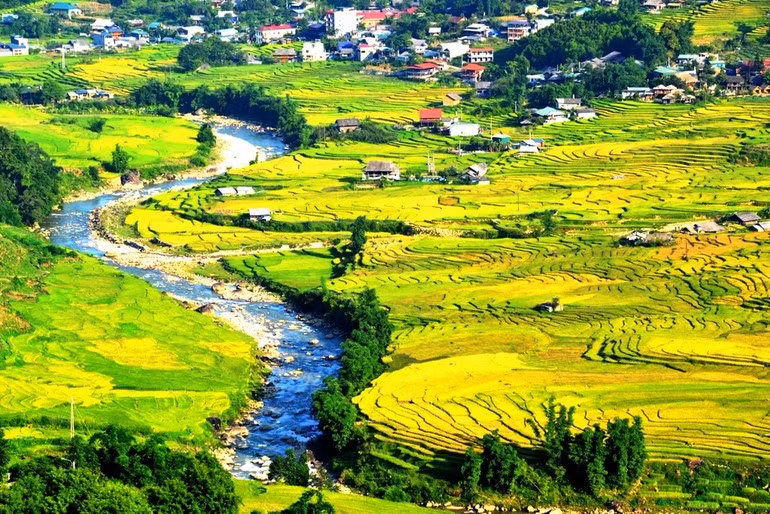 Terraced field in Sa Pa