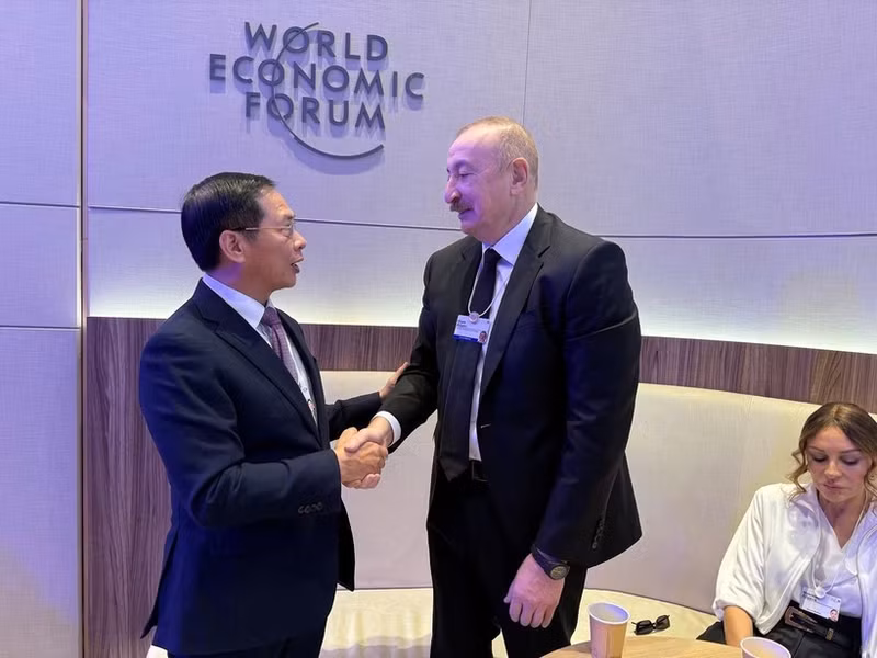 Deputy Prime Minister Bui Thanh Son (left) meets with Azerbaijani President Ilham Aliyev in Davos. (Photo: VNA)