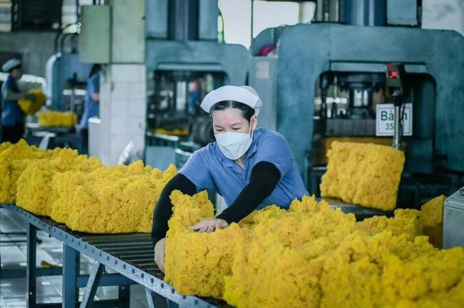 Rubber processing for export at Phuoc Hoa Rubber Joint Stock Company, Binh Duong Province. (Photo: Dao Phong)