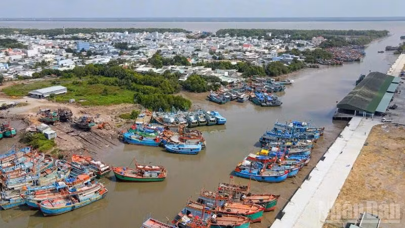 Seafood exploitation is one of the strengths of the marine economy in Dong Thap province.
