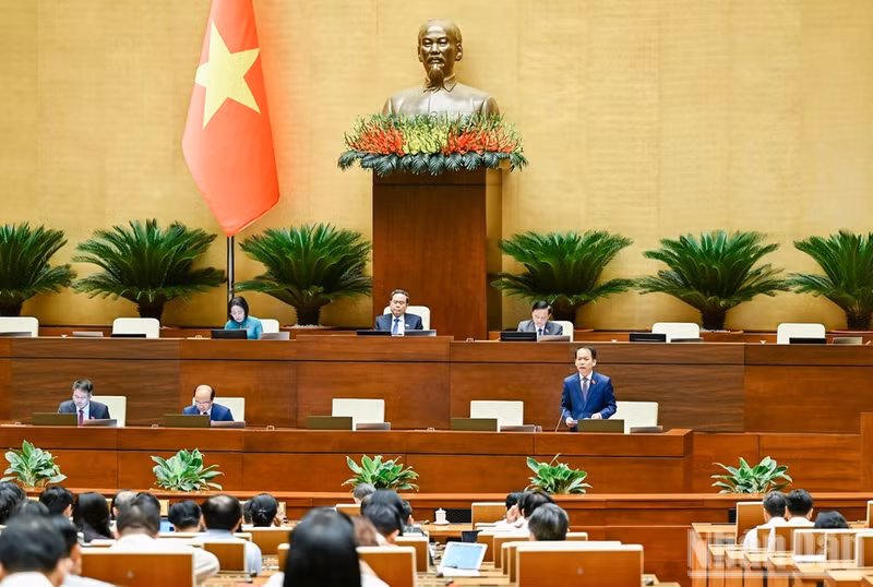 View of the session on August 11. (Photo: DUY LINH)