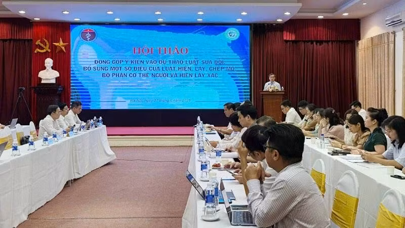 The overview of the workshop