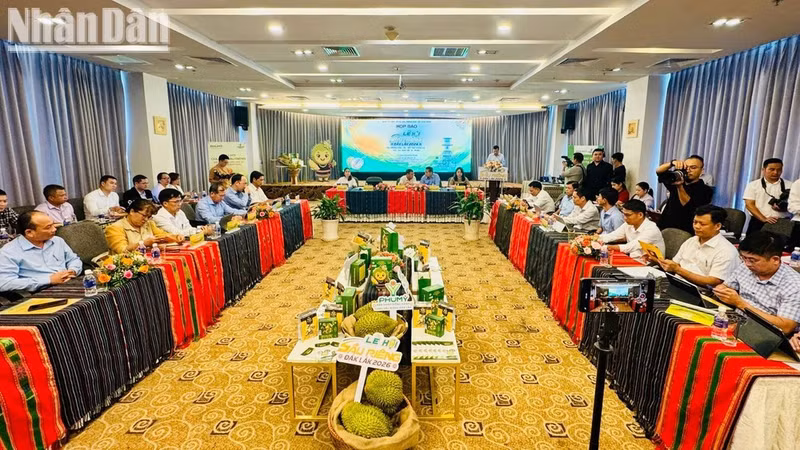 A view of the press conference.
