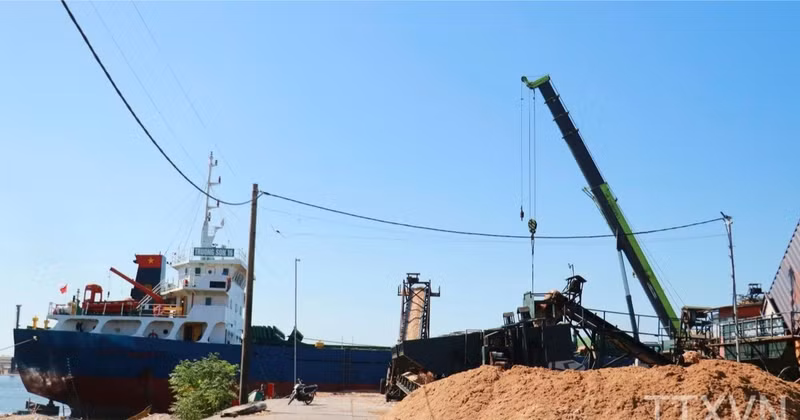 Woodchips produced by Tien Phong Company in Cua Viet Commune, Quang Tri Province, are loaded onto a vessel for export. (Photo: VNA)