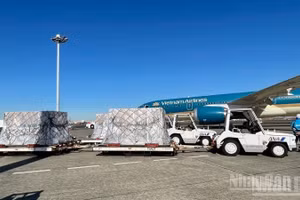 Air freight being transported. (Illustrative image)