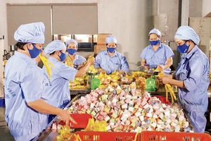 Workers are seen at the Vietfoods Factory in the Hapro Industrial Park in Ha Noi.