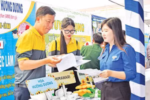 Businesses provide recruitment and employment consultancy services at a job fair in Ca Mau Province. (Photo: Mong Thuong)
