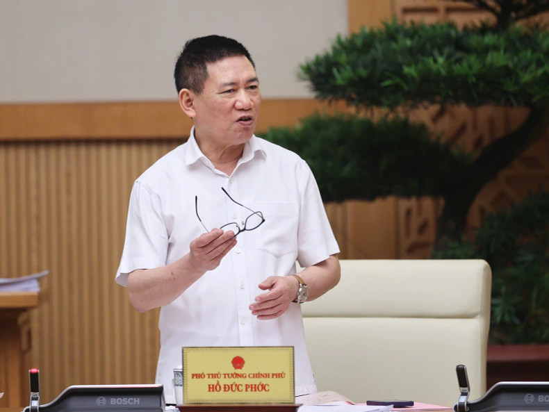 Deputy Prime Minister Ho Duc Phoc speaks at the meeting. Deputy Prime Minister Ho Duc Phoc speaks at the meeting.