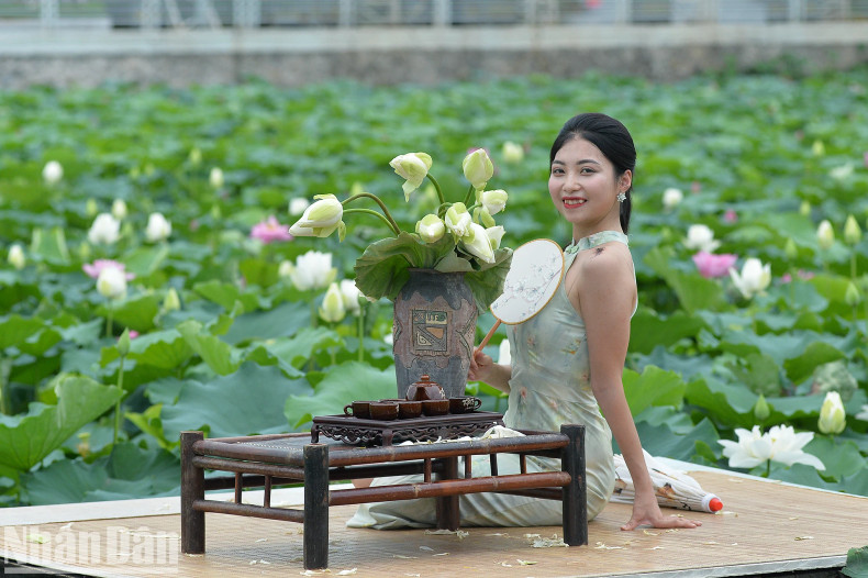 Many young people do not mind getting up at 5-6 am to visit lotus ponds to capture beautiful moments.