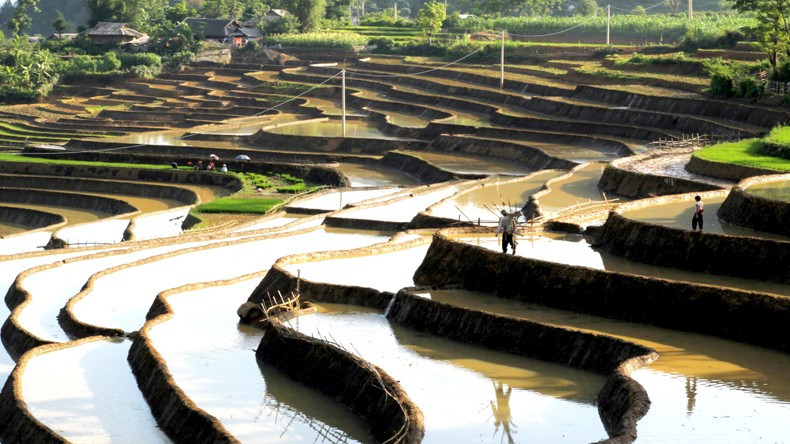 Terraced fields are a form of farming on sloping land familiar to Lai Chau people.
