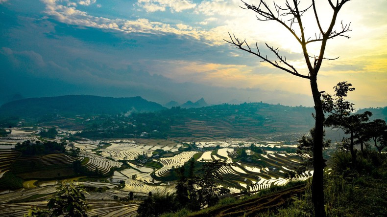 The terraced fields of Lai Chau contribute to creating peaceful and pristine scenery.