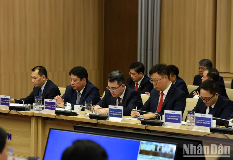 Leaders of Vietnam Electricity Group (EVN).