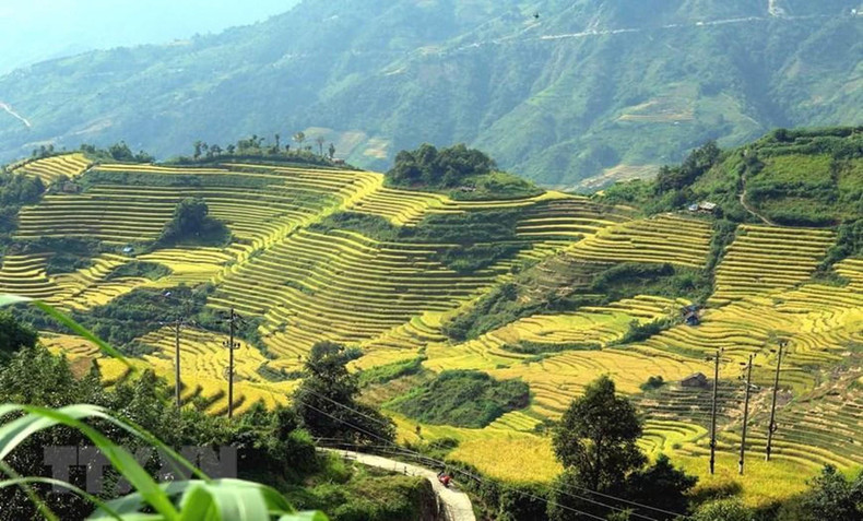Rice paddy fields run around mountains like soft silk strips. Rice paddy fields run around mountains like soft silk strips.