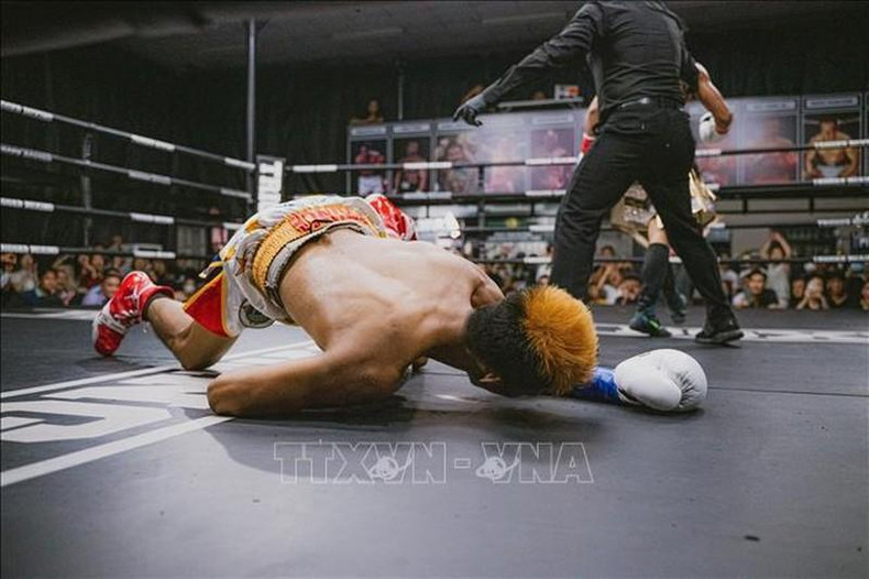 The moment when boxer Prince Andrew Lario from the Philippines was knocked out. (Photo: VNA) The moment when boxer Prince Andrew Lario from the Philippines was knocked out. (Photo: VNA)