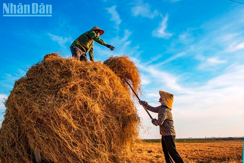 ...and collecting all the achievements of a golden season. ...and collecting all the achievements of a golden season.