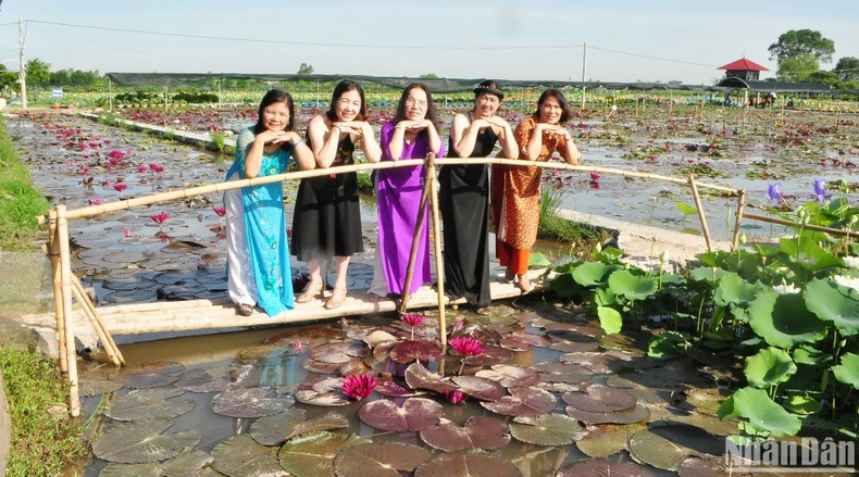 In Pictures: Van Dai lotus pond attracts visitors ảnh 3