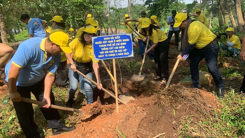 The delegation of overseas Vietnamese in Ho Chi Minh City participate in activities responding to the tree planting festival. The delegation of overseas Vietnamese in Ho Chi Minh City participate in activities responding to the tree planting festival.