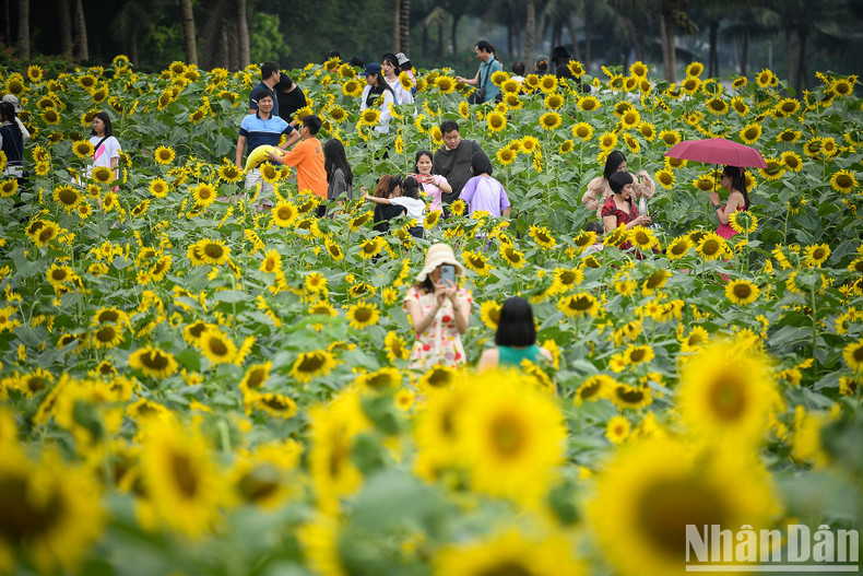 This place soon became a “hot” spot to check-in for photography lovers. This place soon became a “hot” spot to check-in for photography lovers.