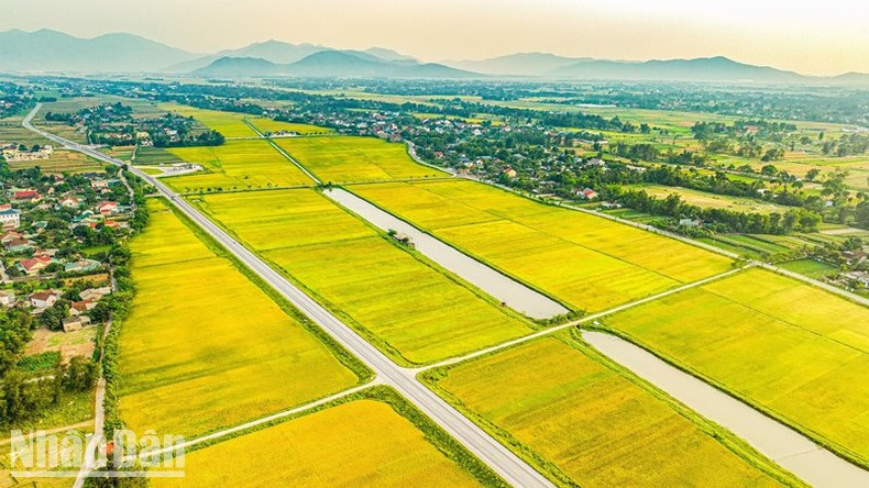 The face of the new-style rural village is also full of new vitality. The face of the new-style rural village is also full of new vitality.