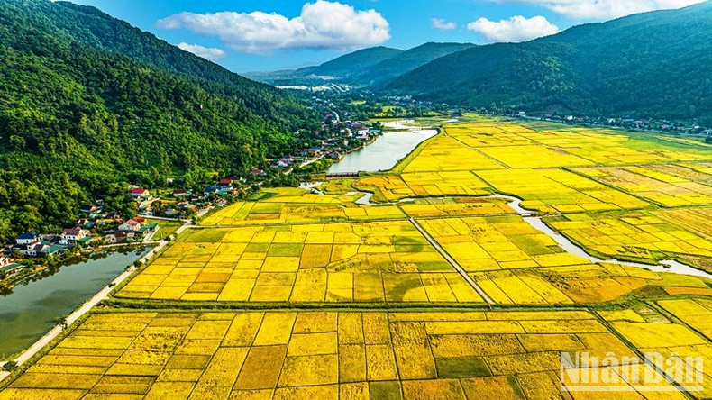 Yellow colour becomes the main colour on the roads. Yellow colour becomes the main colour on the roads.