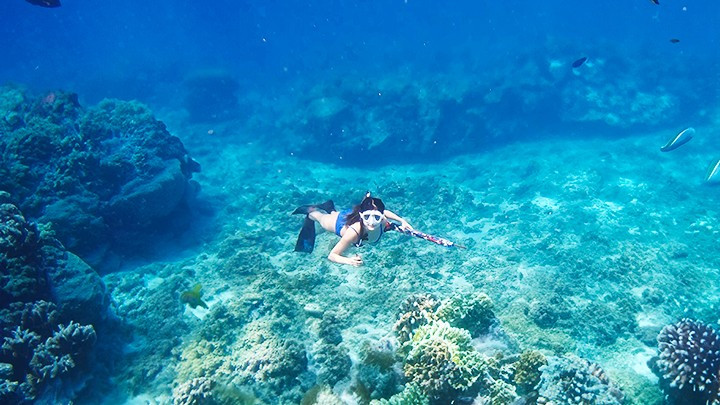 Beneath the sea Beneath the sea