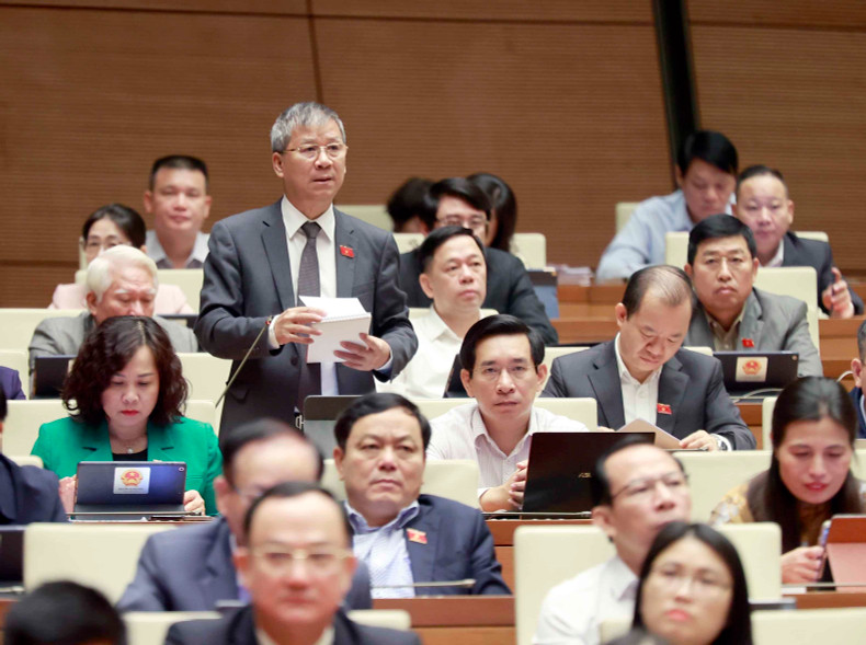 NA deputy Nguyen Anh Tri from Hanoi speaks at the session. (Photo: VNA)