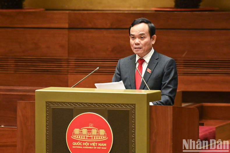 Deputy Prime Minister Tran Luu Quang speaks at the conference.