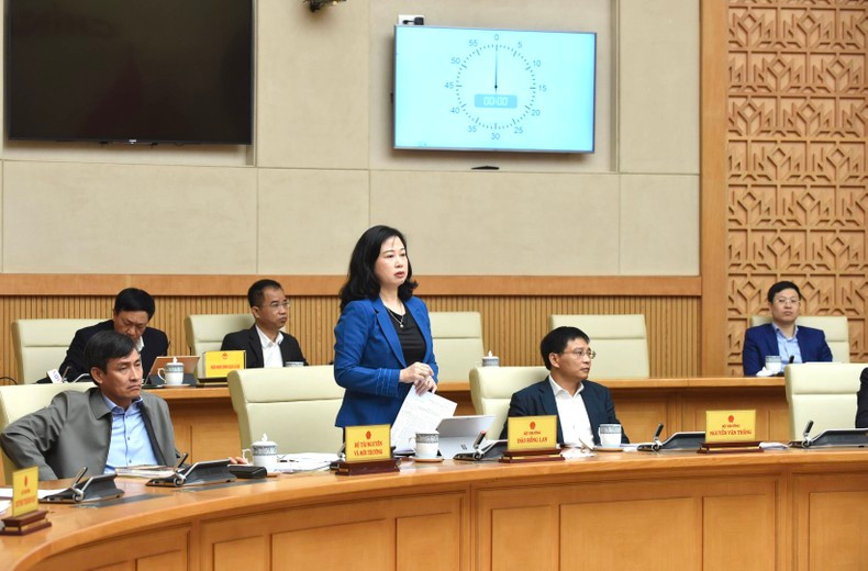 Health Minister Dao Hong Lan is speaking. Health Minister Dao Hong Lan is speaking.