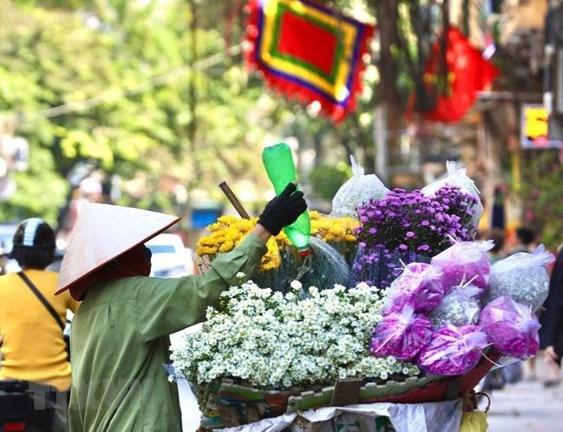 All kinds of colourful flowers appear on the streets. (Photo: Hoang Hieu/VNA)