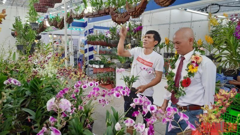 People buy orchids at the typical agricultural product fair and exhibition 2022.