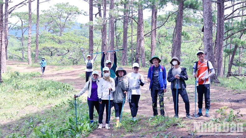 Delegates experiencing the Ta Nang-Phan Dung trekking route.