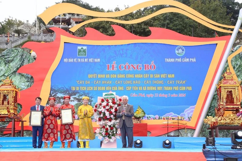 The decision and certificate of recognition of Vietnamese Heritage Trees to the trees at the relic complex of Cua Ong Temple - Cap Tien Temple presented. The decision and certificate of recognition of Vietnamese Heritage Trees to the trees at the relic complex of Cua Ong Temple - Cap Tien Temple presented.