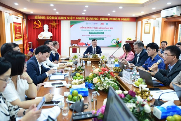 Participants at the forum (Photo: VNA)