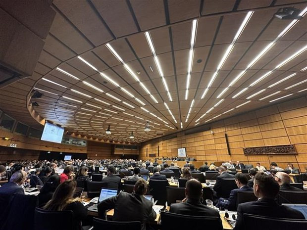 At the meeting (Photo: VNA)