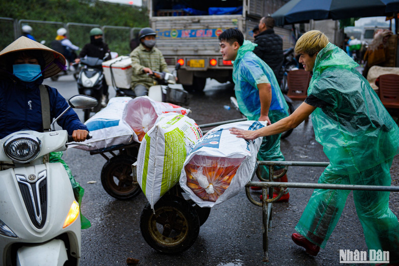 These days, there are hundreds of small traders coming from all over the world to buy fish for retail at small markets. These days, there are hundreds of small traders coming from all over the world to buy fish for retail at small markets.
